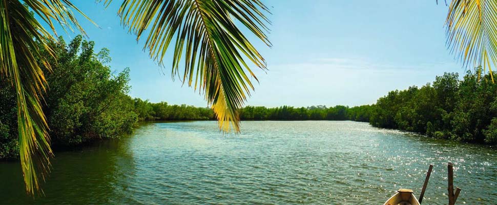 Gambia river