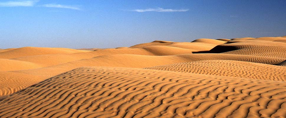 Tunisia sand dune