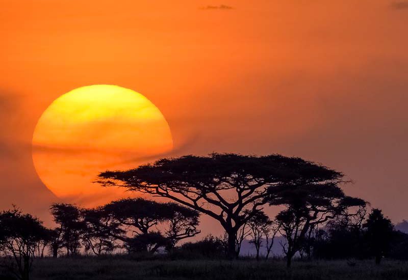 Serengeti Sunset